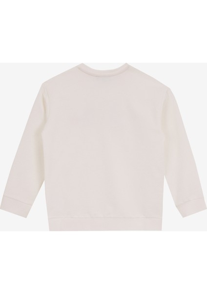 Baskılı Erkek Çocuk Kırık Beyaz Sweatshırt D5SB-SWT3225 fiyatları