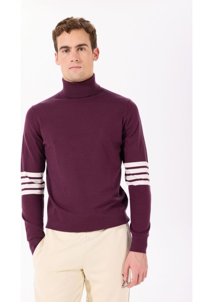 Balıkçı Yaka Regular Fit Bordo Erkek Kazak UMA24102LU