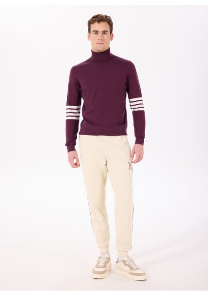 Balıkçı Yaka Regular Fit Bordo Erkek Kazak UMA24102LU fiyatları