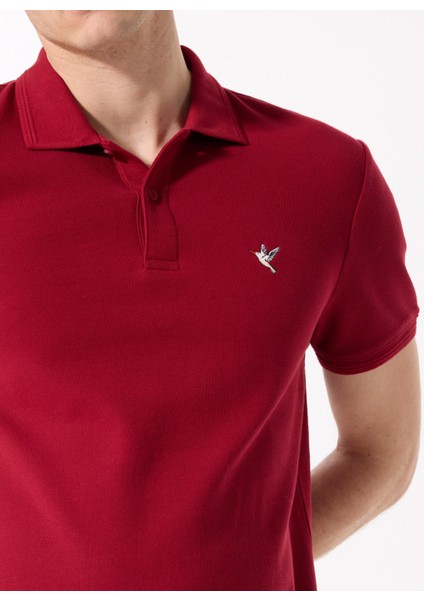 Bordo Erkek Basic %100 Pamuk Polo T-Shirt F5SM-TST 2779 fırsatları
