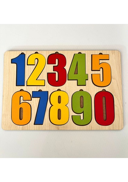 Ahşap Renkli Sayılar Seti Puzzle Montessori Bul Tak Eğitici Çocuk Gelişimi fırsatları