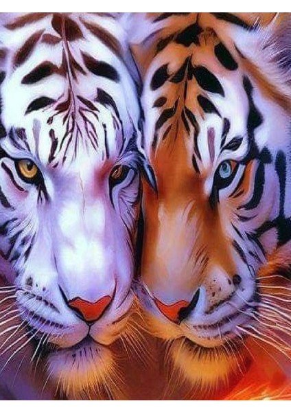 Araç Kapı Direk Kaplama Folyosu + Aparat (Sağ Sol Takım) (2 Adet)