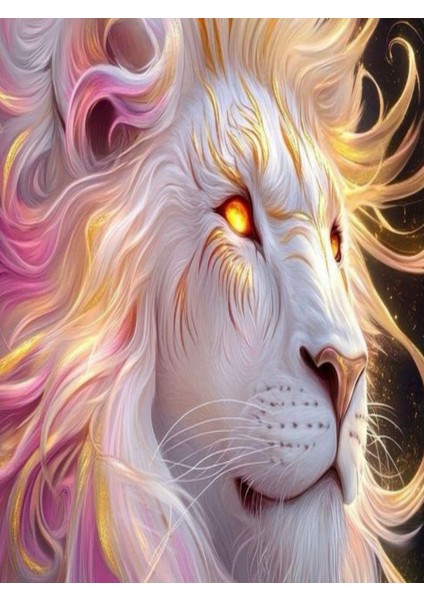 Araç Kapı Direk Kaplama Folyosu + Aparat (Sağ Sol Takım) (2 Adet)