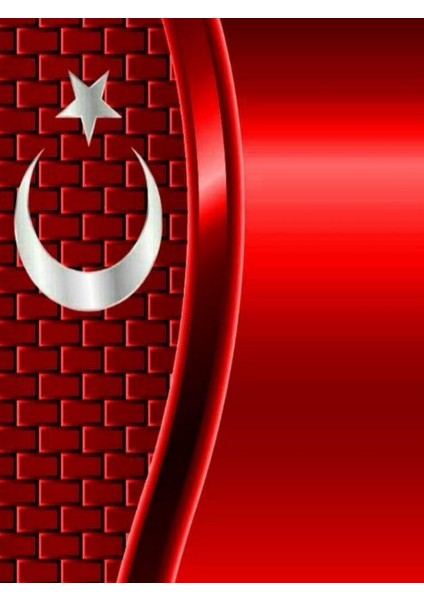 Araç Kapı Direk Kaplama Folyosu + Aparat (Sağ Sol Takım) (2 Adet)