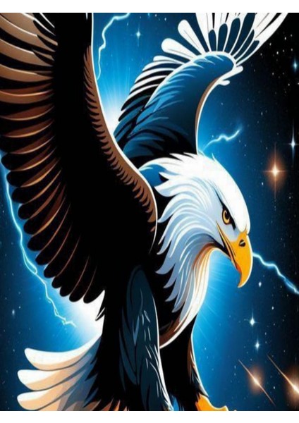 Araç Kapı Direk Kaplama Folyosu + Aparat (Sağ Sol Takım) (2 Adet)