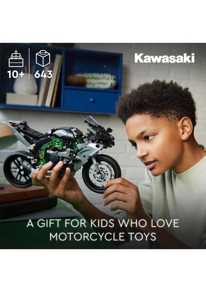 Technic Kawasaki Ninja H2R Motosiklet Oyuncak 42170 Multicolor