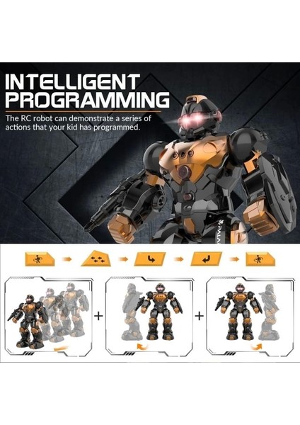 Exhobby Programmable Remote Control Robot Brown