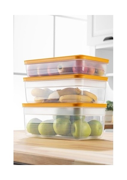 Tupper Model Vakumlu Mikrodalga Buzluk Saklama Kabı 5lt