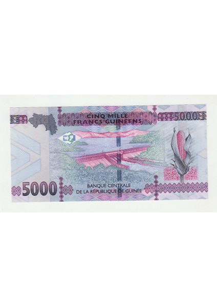 Guineé 5000 Francsuncçil Banknot fiyatları