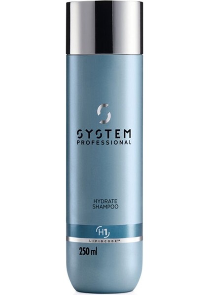 System Hydrate Kuru Saçlar Nemlendirici Şampuanı 250ML
