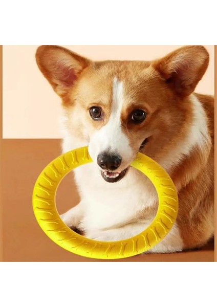 Köpek Halka sı Frisbeed Oyuncaklar Pet Uçan Disk Eğitim Halka sı Çektirme Anti-Isırık Yüzen Interaktif Malzemeleri Köpek A gresif Çiğneme Oyuncakları