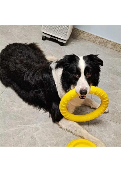 Köpek Halka sı Frisbeed Oyuncaklar Pet Uçan Disk Eğitim Halka sı Çektirme Anti-Isırık Yüzen Interaktif Malzemeleri Köpek A gresif Çiğneme Oyuncakları