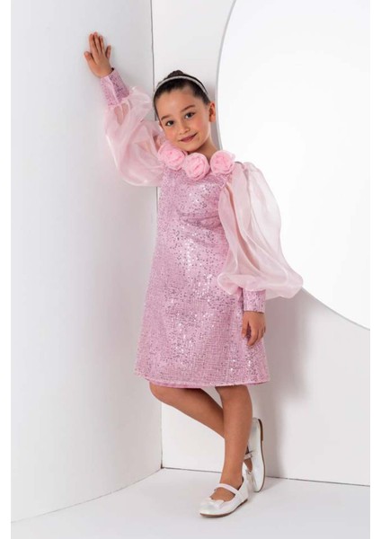 Kız Çocuk Yakası Boydan Gül Broş Detaylı Bilekleri ve Üzeri Pullu Karpuz Kollu Pembe Elbise fiyatları