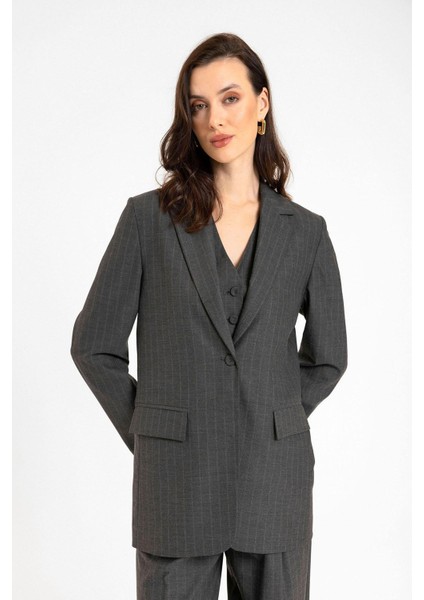 Antrasit Kadın Tek Düğme Çizgili Blazer Ceket fiyatları