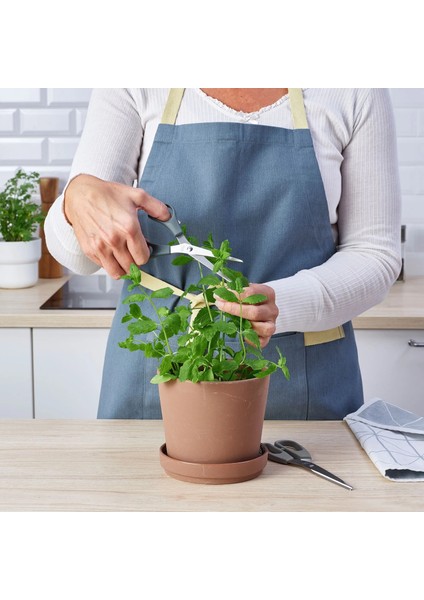 Çok Amaçlı 2'li Mutfak Makası, 15 cm & 21 cm