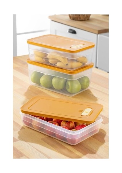 Tupper Model - Vakumlu - Mikrodalga Buzluk Saklama Kabı 2,5lt fiyatları