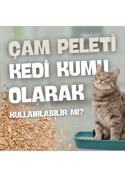 Çam Pati (% 100 Çam Peleti Kedi Kumu) Topaklaşmaz - Kokuyu Hapseder - 6 mm / 50 Lt