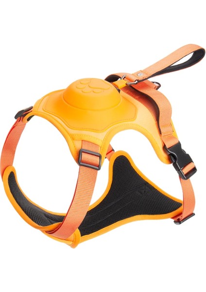 Kendinden Ipli Bel Tasması (L Beden)