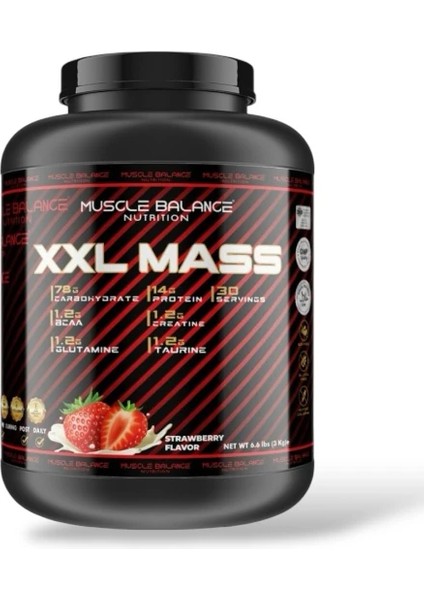 XXL Mass 3000 gr 30 Servis Çilek