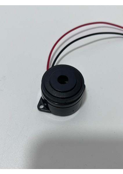 Elektronik Alarm Buzzer 2 Kanal 29MM (1 Adet) modelleri