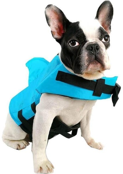 Shark Köpek Can Yeleği M Beden