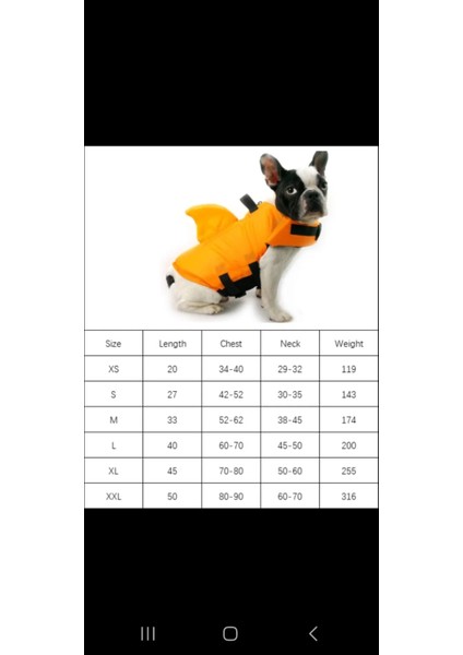 Shark Köpek Can Yeleği M Beden