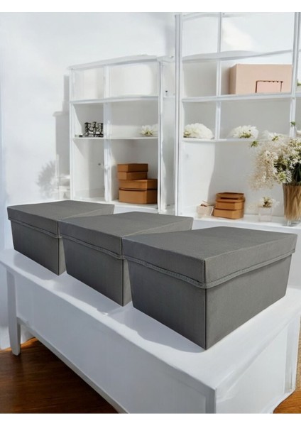 3 Adet Kapaklı Dolap Içi Düzenleyici Kutu Çok Amaçlı Saklama Kutusu x large 40 x 30 x 20 cm
