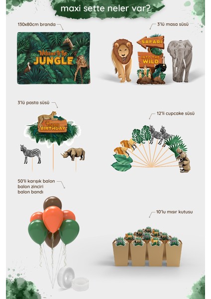 Safari Temalı Erkek Çocuk Doğum Günü Parti Seti - Maxi fiyatları