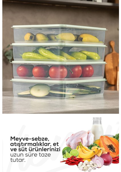 4'lü 3,5 Litre Buzdolabı Dondurucu Organizer Mikrodalga ve Difrize Uygun Saklama Kabı Mint