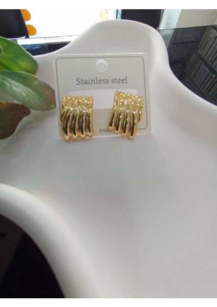 14 K Deniz Kabuğu Model Çelik Küpe