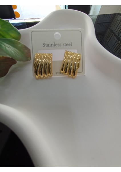 14 K Deniz Kabuğu Model Çelik Küpe