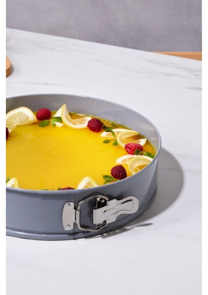 Gri ve fuşya renkli kek kalıbı seti, 28/24 cm, şık ve kullanışlı tasarım modelleri