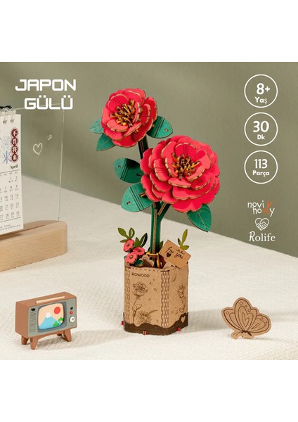 Minyatür Japon Gülü| Ahşap Japon Gülü Maketi | 3D Puzzle