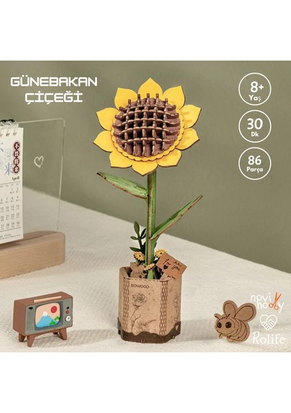 Minyatür Günebakan Çiçeği 3D Puzzle