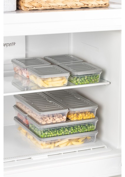 4'lü Set Freshbox Mikrodalga ve Difrize Uygun Saklama Kabı