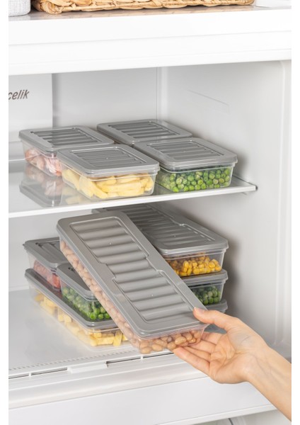4'lü Set Freshbox Mikrodalga ve Difrize Uygun Saklama Kabı
