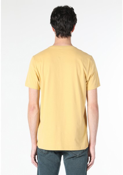 Regular Fit Yuvarlak Yaka Düz Erkek Sari Kısa Kol Tişört Cl1058592