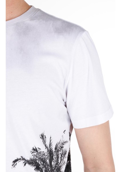 Çok Renkli Erkek Tshirt K.kol
