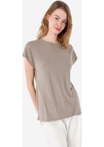 Regular Fit Yuvarlak Yaka Kadın Kısa Kol Tişört Cl1067942