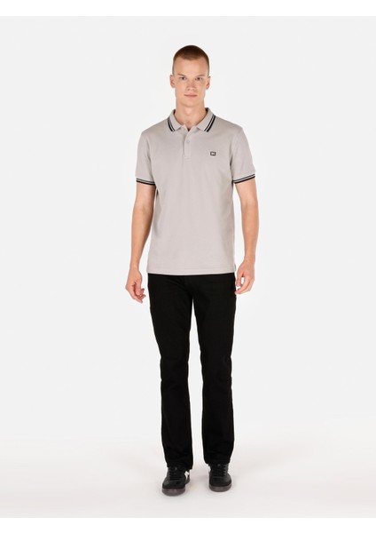 Regular Fit Polo Yaka Düz Erkek Taş Kısa Kol Tişört modelleri