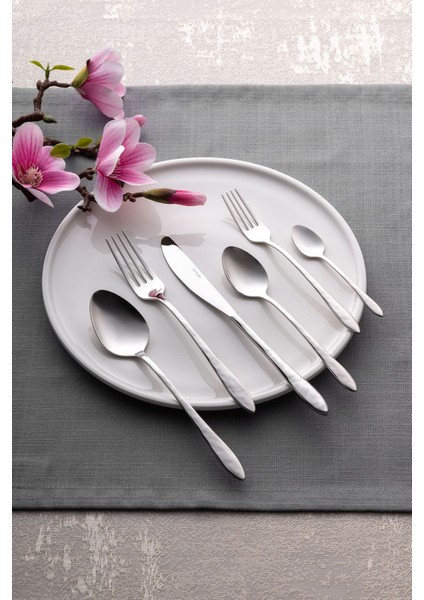 12 Kişilik Paslanmaz Çelik Çatal Kaşık Bıçak Takımı Kutulu