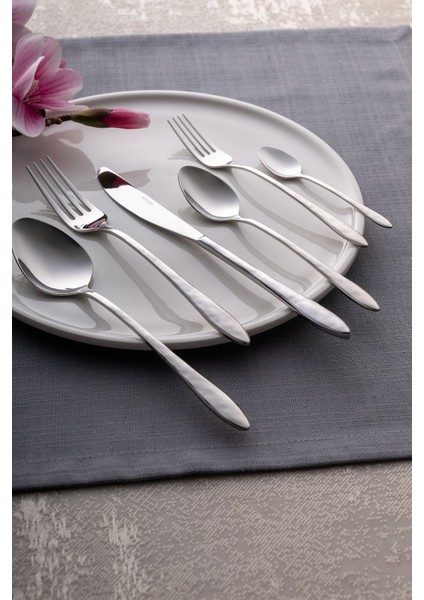 12 Kişilik Paslanmaz Çelik Çatal Kaşık Bıçak Takımı Kutulu fiyatları