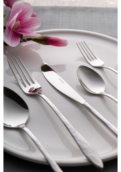 12 Kişilik Paslanmaz Çelik Çatal Kaşık Bıçak Takımı Kutulu modelleri