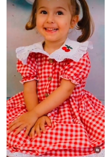 Kız Çocuk Bebek Kırmızı Beyaz Pötikareli Kiraz Nakışlı Eteği Fistolu Fırfırlı Kısa Kollu Elbise fiyatları