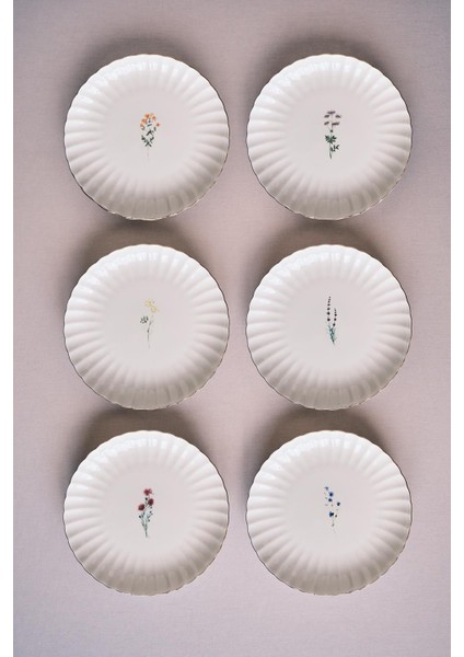 Tiny Miny 6 Parça 21 cm Pasta Takımı