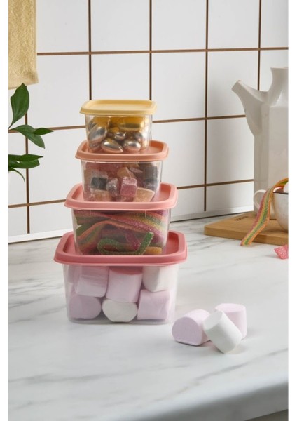 Dora Mini 4'lü Saklama Kabı