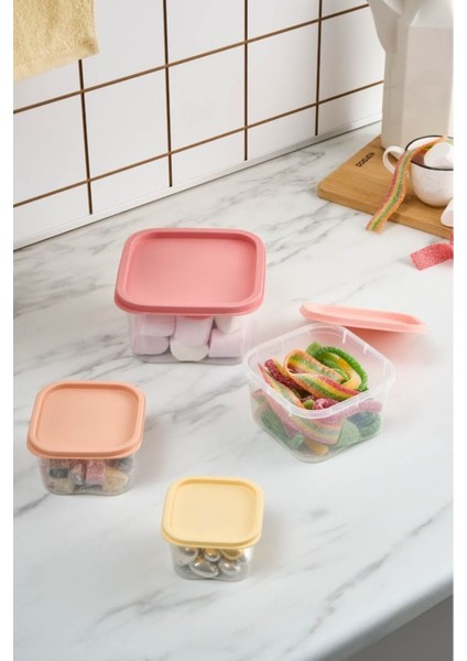 Dora Mini 4'lü Saklama Kabı