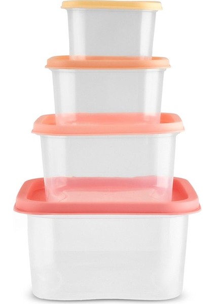 Dora Mini 4'lü Saklama Kabı