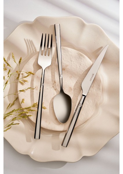 18 Parça Şık ve Dayanıklı Çelik Tatlı Takımı, 6 Kişilik, Zarif Tasarım