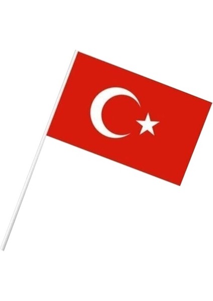 Plastik Sopalı Bayrak Büyük 22 x 32 cm Karton 40LI Türk Bayrağı